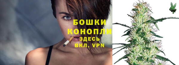 сатива Надым