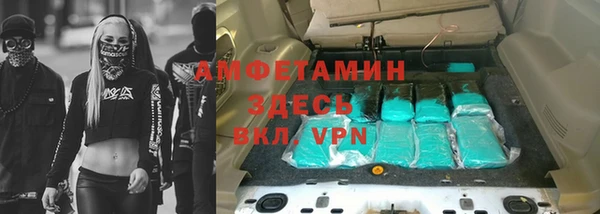 сатива Надым