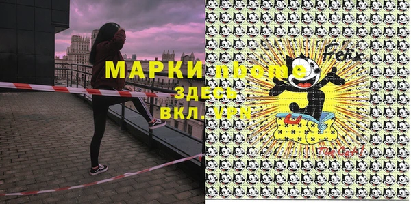 сатива Надым