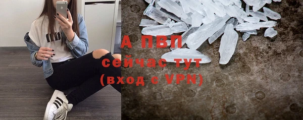 сатива Надым