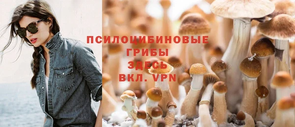 сатива Надым